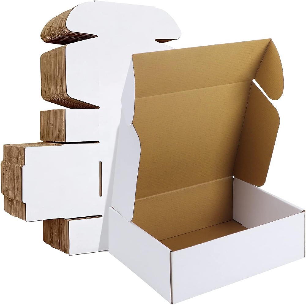 OZ341 12x9x4 inches Shipping Boxes Corrugated Literature Mailer